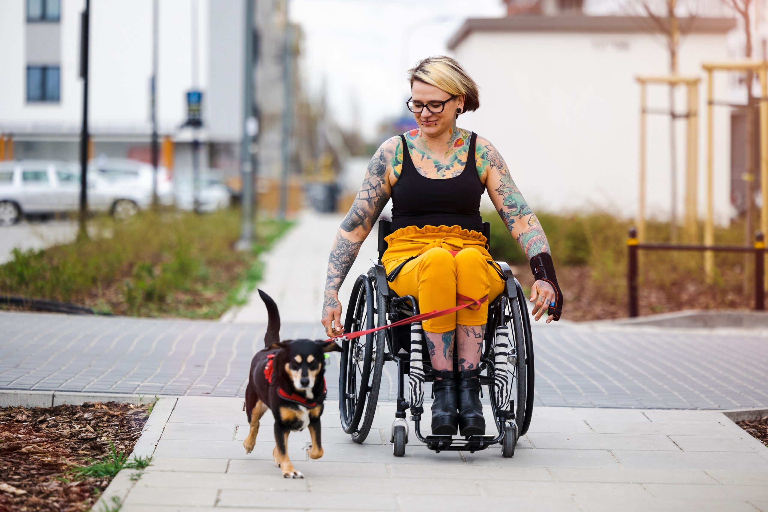 Woman,In,Wheelchair,With,Her,Dog,Outdoors