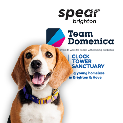 Dog in front of a sign that reads: Spear Brighton, Team Domenica, Clock Tower Sanctuary